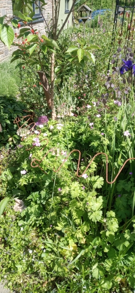 Llanwrtyd Wells Gardens